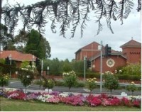 Ashwood