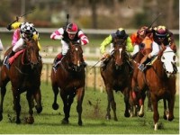 Caulfield