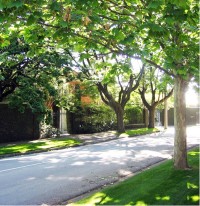 Toorak